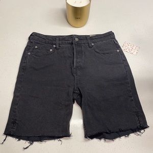 Free People Denim Long Shorts NWT US 28